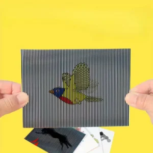 FutoAnimacja - Nauka Animacji Dla Twojego Dziecka